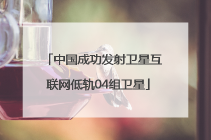 中国成功发射卫星互联网低轨04组卫星